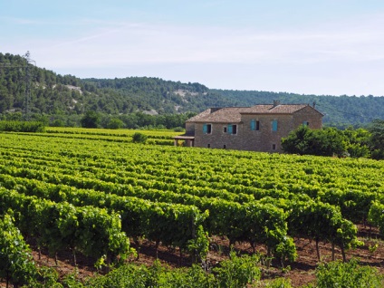 Provence câmpuri lavanda, știu în străinătate