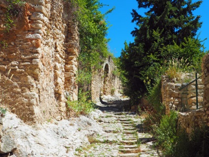 Provence câmpuri lavanda, știu în străinătate