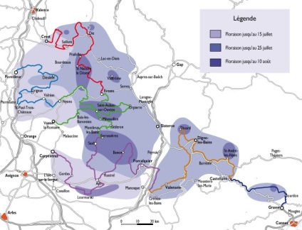 Lavender Provence rute domenii și adrese importante - Elena Elena