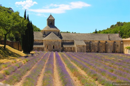 Lavender Provence câmpuri, sfat de călătorii turistice pe