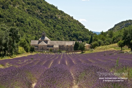 Levendula mezők Provence, hol és hogyan lehet eljutni cikkek