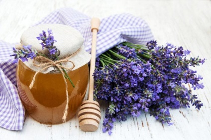 Лавандовий мед корисні властивості, характеристики та правила зберігання