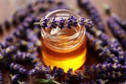 Лавандовий мед - склад, властивості, застосування і рецепти
