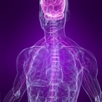 Лікування хвороб нервової системи - скальпель - медичний інформаційно-освітній портал