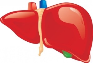 Tratamentul hepatomegaliei, dieta adecvată pentru tratamentul ficatului mărit, rețete pentru medicina populară