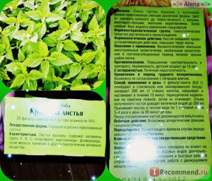 Plante medicinale de frunze de urzică - 