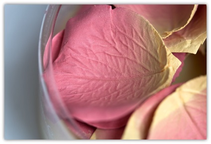 Les merveilleuses de laduree face color rose laduree in 01 swatches - review