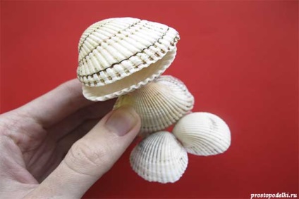 Béka készült kagyló, csak kézműves