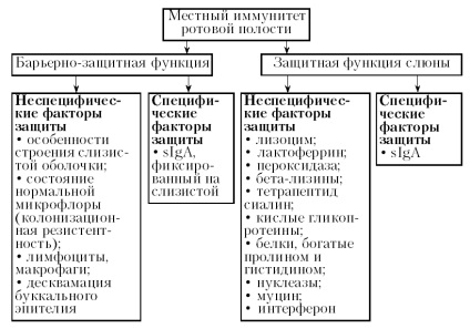 Мікрофлора порожнини рота норма і патологія - сторінка 19 - видавництво ніжгма