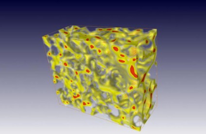 Structura osoasă microscopică