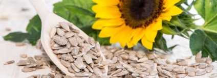 Este posibil să se mănânce semințe de floarea-soarelui în diabet cu beneficiu sau rău