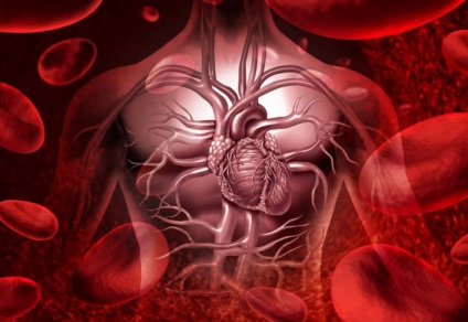 Încălcarea circulației sanguine - ne confruntăm cu problema în mod natural
