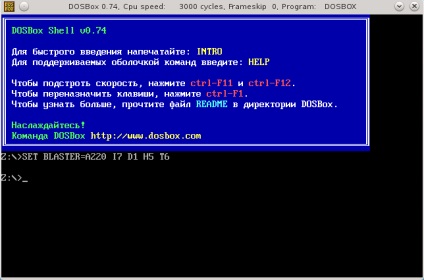 Configurarea și utilizarea dosbox