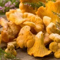 Dung - o varietate de ciuperci și moduri de gătit, site-ul de ciuperci