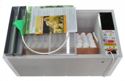 Необхідна температура для качиних яєць в інкубаторі