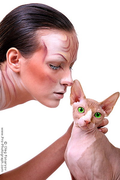 Nu începe niciodată o pisică-sfinx! (Yuri Rybka)