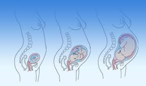 Непритомність при вагітності на ранніх термінах, у 2-му і 3-му триместрах, що робити в разі падіння в