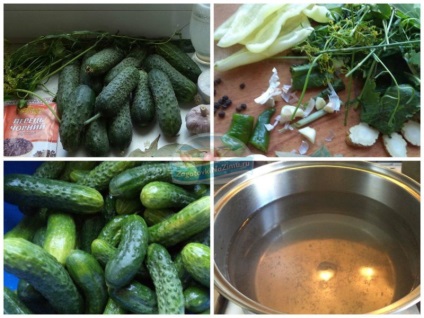 Огірки солоні холодним способом на зиму рецепти покроково з фото