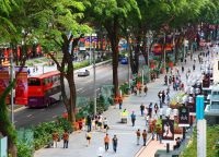 Orchard Road, Orchard