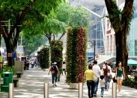 Orchard Road, Orchard