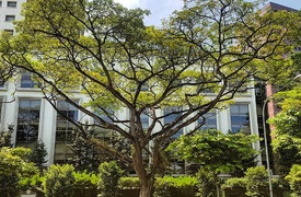 Orchard Road, Singapore