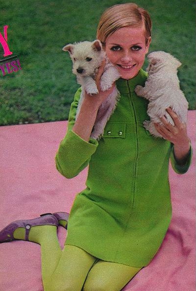 Caracteristici de stil twiggy