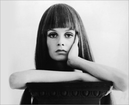 Caracteristici de stil twiggy