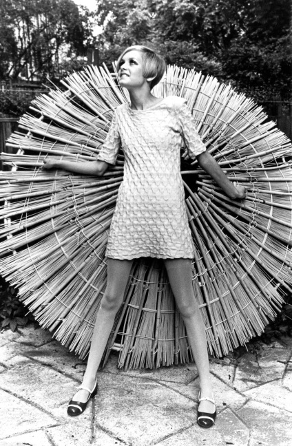 Caracteristici de stil twiggy