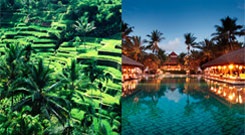 Vacanțe la recenzii din Bali