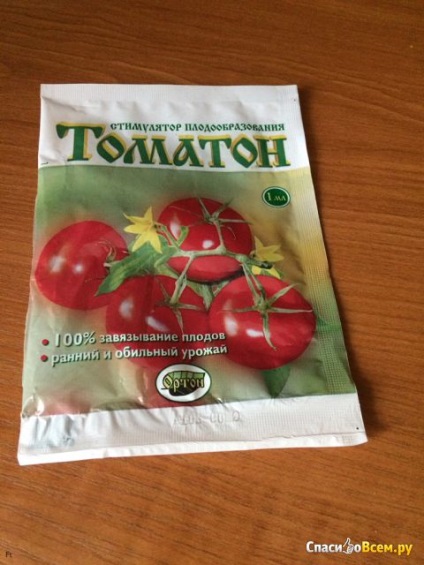 Feedback-ul despre stimularea formării fructelor - tomato-tomton tomaton - va oferi un ovar pe roșii,