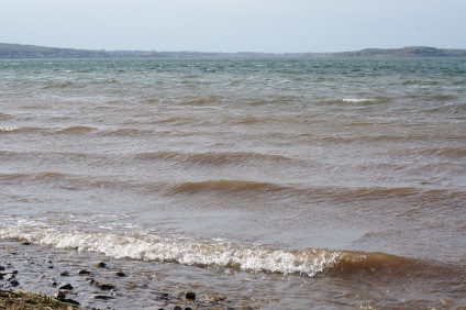 Descrierea lac candrykul și fotografii