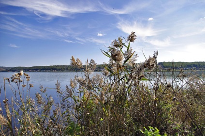 Descrierea lac candrykul și fotografii