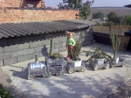 Vonat a kezüket a műanyag palackok