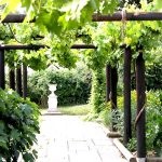 Pergola за грозде с ръцете си като беседка, описание, видео