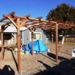 Pergola szőlő a kezüket, mint egy pavilon, leírás, videó (kezével) Pergola szőlő a kezüket, mint egy pavilon, leírás, videó