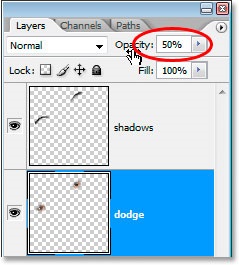 Photoshop útmutatók és a Photoshop mindent!