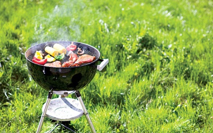 BBQ fél amelyek nélkül nem tud (a pavilonban) Piknik az országban, amely nem nélkülözheti