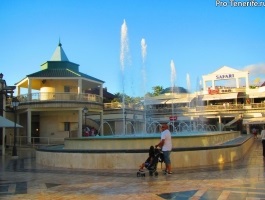 Playa de las americas Tenerife (Spania) - vremea, recenzii, aeroporturi, excursii