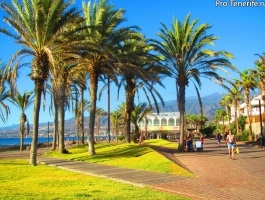 Playa de las Americas Tenerife (Spanyolország) - az időjárás, áttekintésre, repülőtéri túrák