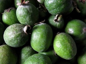 Чи корисна фейхоа лікувальні властивості і протипоказання зелених плодів
