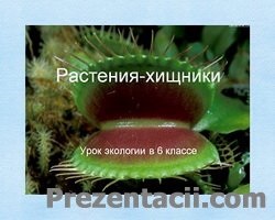 Презентація - екосистема болота - презентації з біології