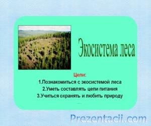 Презентація - екосистема болота - презентації з біології