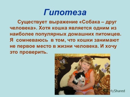 Előadás mkou ustyuzhaninskaya const macska - egy ember a hallgató által class 2 Dolgov
