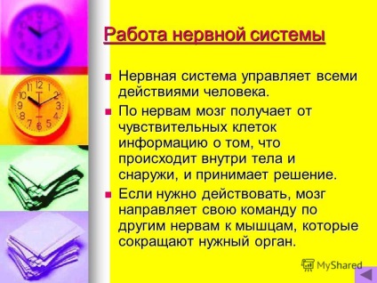 Презентація на тему чому наш організм працює злагоджено урок по курсу - навколишній світ