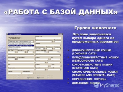 Презентація на тему виставка кішок - це завжди безтурботний свято так, якщо ви не є