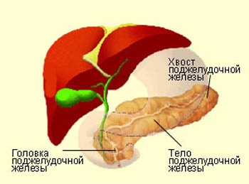 Прості способи очищення підшлункової залози