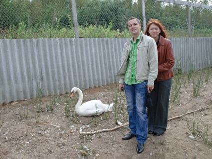 Птичият двор в Псков