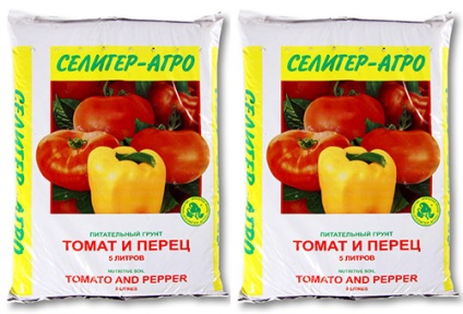 Розсада помідорів в домашніх умовах як виростити томат