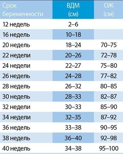 Розбіжність в термінах - на