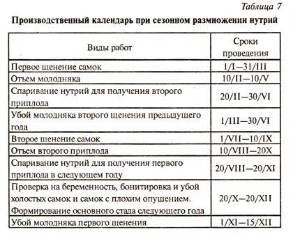 Розмноження, спаровування і злучка нутрій